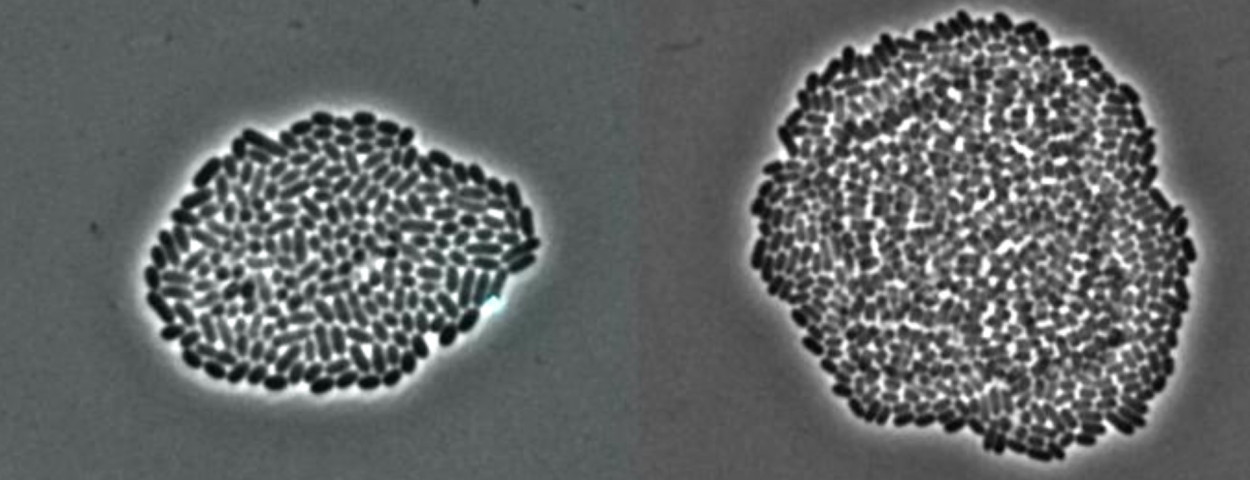 Screenshot 2026-03-19 113226