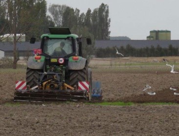 Netto-bedrijfsresultaat bleef ook in 2019 voor veel landbouwsectoren problematisch