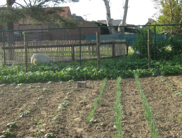 Velt wil overbemesting in tuintjes helpen terugdringen