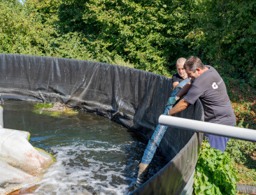 AB InBev en Boerenbond helpen sierteler met brouwerijwater