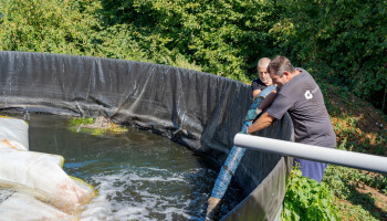 AB InBev en Boerenbond helpen sierteler met brouwerijwater