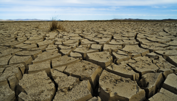 ‘Klimaatflatie’ zet landbouw én consument wereldwijd onder druk