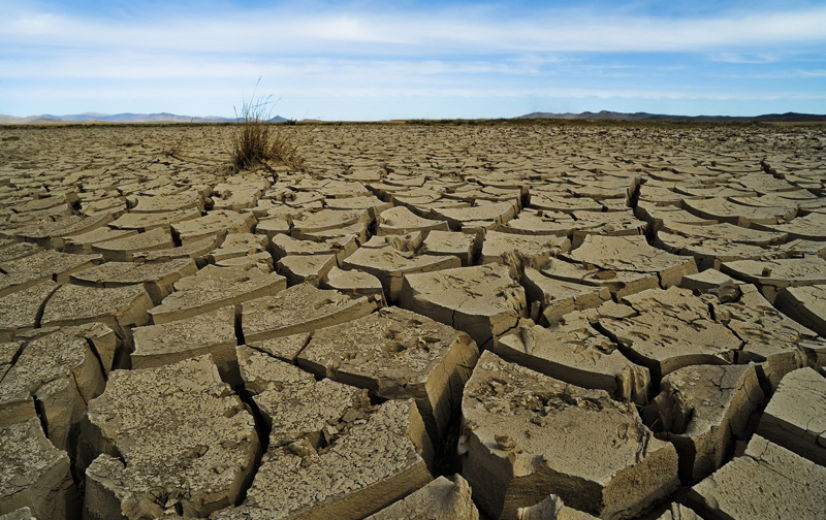 ‘Klimaatflatie’ zet landbouw én consument wereldwijd onder druk