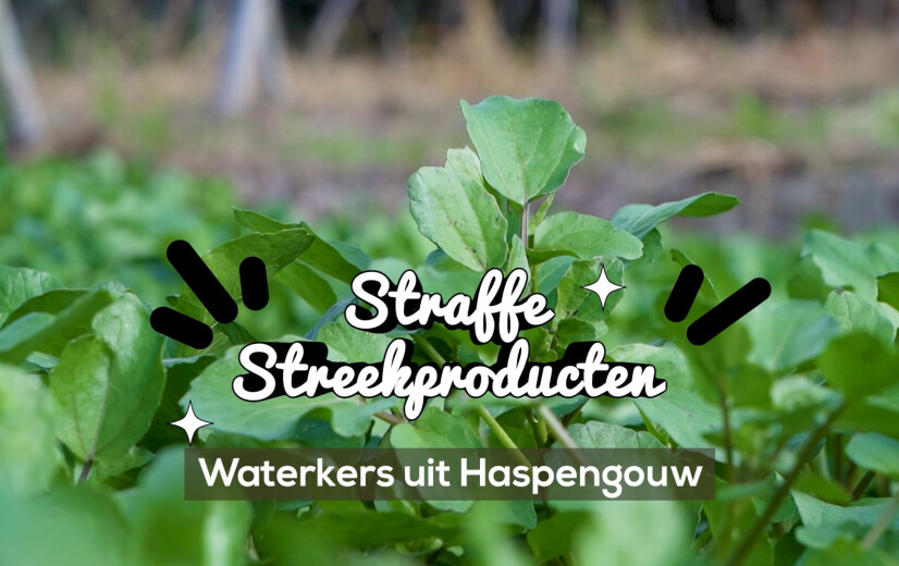 🎥 Straffe Streekproducten: waterkers uit Haspengouw