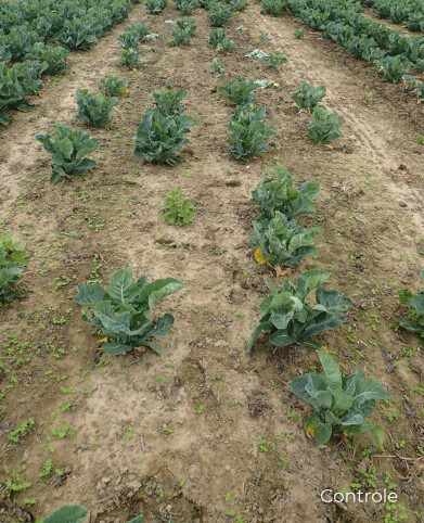 20230628 BLK_IN02 controle