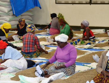 "Human chains are stronger than supply chains"