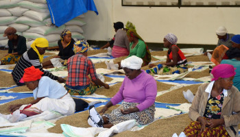 Week van de Fair trade: Belg ligt steeds meer wakker van voedselkwaliteit